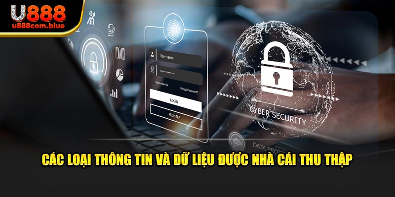 Các loại thông tin và dữ liệu được nhà cái thu thập