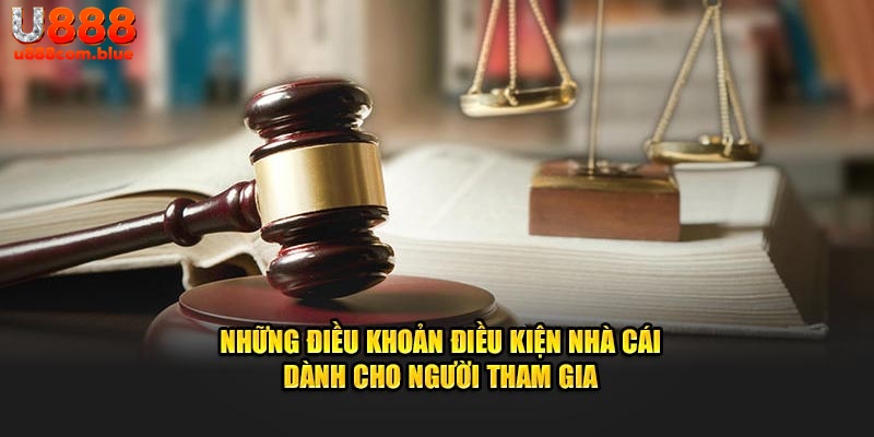 Những điều khoản điều kiện nhà cái dành cho người tham gia
