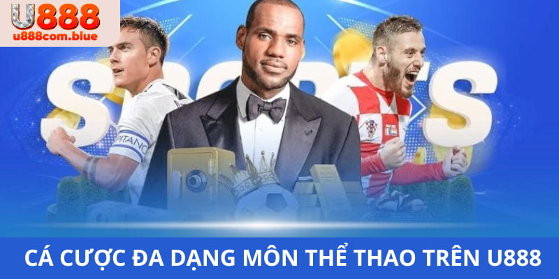 Có rất nhiều giải đấu hấp dẫn để bạn tham gia soi kèo trên sảnh
