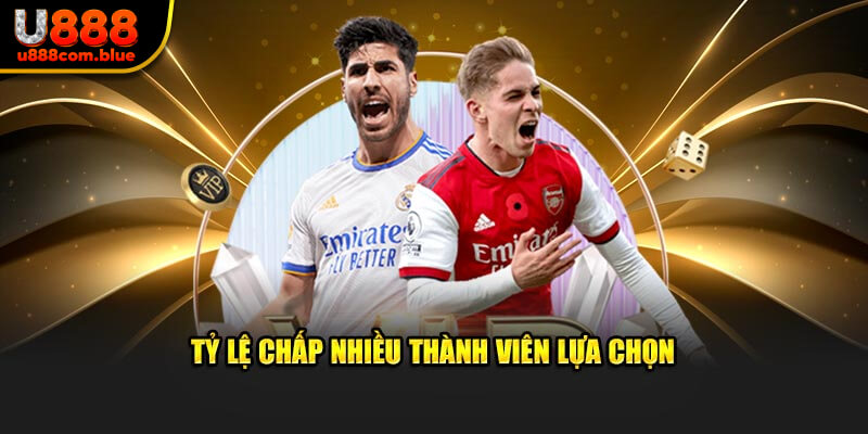 Tỷ lệ chấp nhiều thành viên lựa chọn